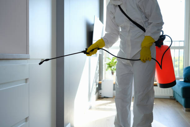 Best Fast Mold Removal  in Pompano Beach, FL